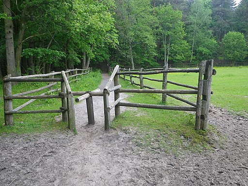 .htaccess redirection illustrated by "A gate in a pony enclosure in Zwierzyniec, Poland."
Pibwl, CC BY-SA 4.0 , via Wikimedia Commons
https://commons.wikimedia.org/wiki/File:Zwierzyniec_IMGP3045.JPG